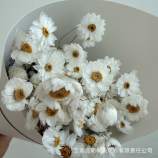 �羳�ɻ��_��˹������СϞ�� ���������B�M�ڻ��� �Ҿ��b���