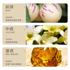 VDW Large Bottle Shampoo for Oil Control, Oil Removal, Dandruff Relief, Itch Relief, Suitable for Men and Women, Students, Long-lasting Scent, Smooth, Soft, Fluffy