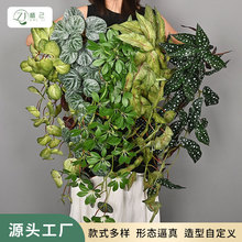 �����ٗl�����ڒ����Gֲ�O�������~���@�������G�}�����~�젝��