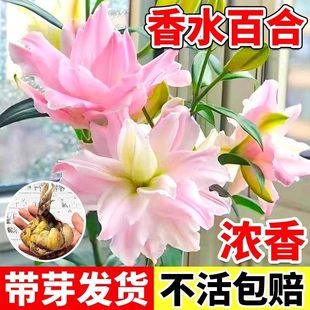 �༾���_����ˮ�ٺϻ��N���M�ڎ�ѿ���BͥԺ��ѿ��ˮ�ٺϻ��N����