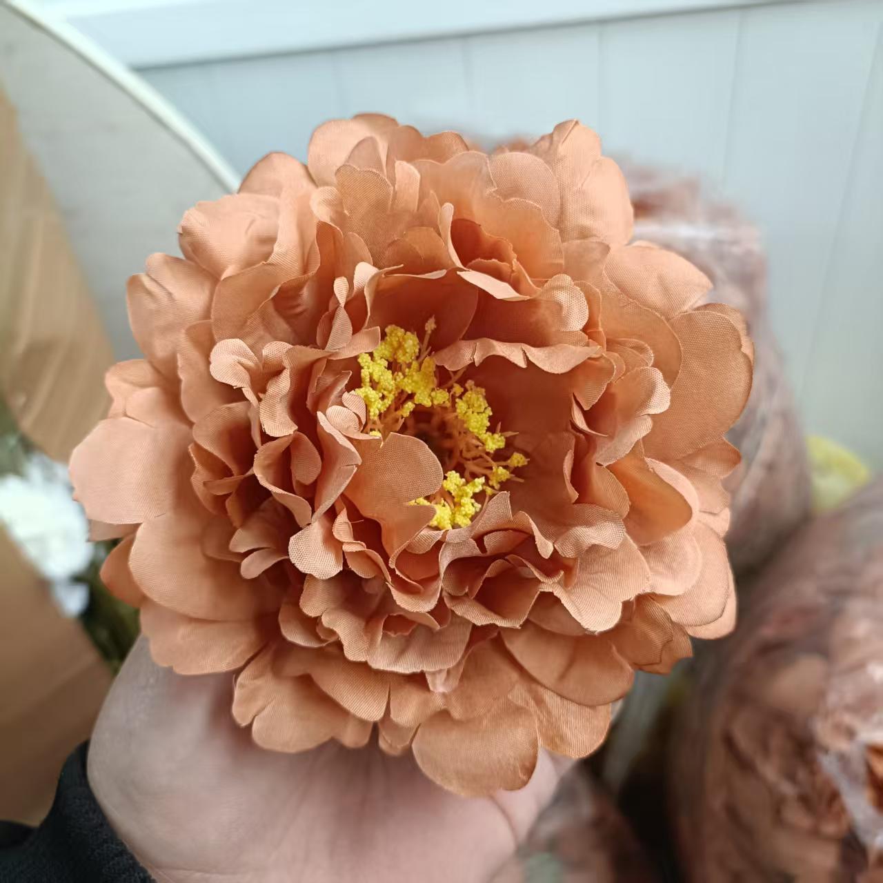 커피