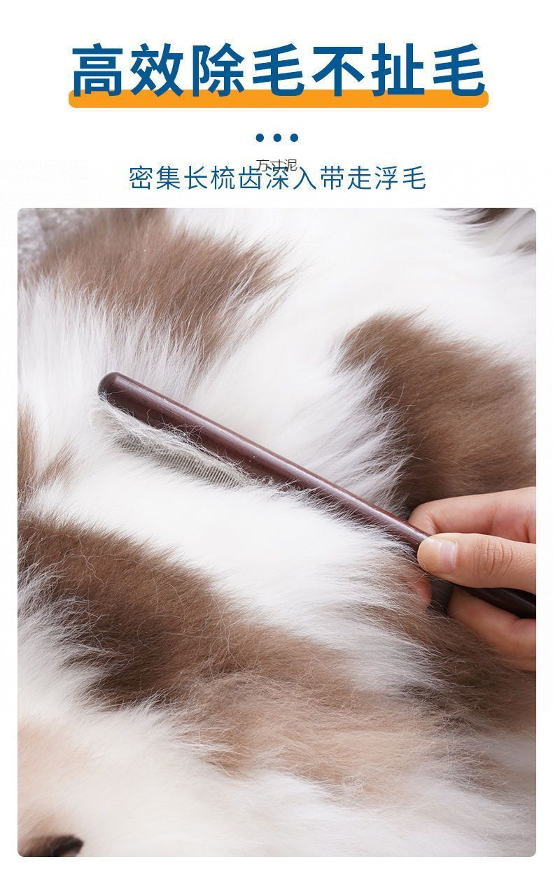 1c1e5f75-2857-4dab-a3cc-2e3face8f4e7.jpe