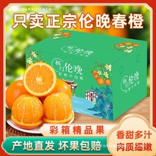 包邮秭归伦晚春橙5/9斤大果伦晚橙新鲜薄皮多汁爆甜血橙浅橙黄色