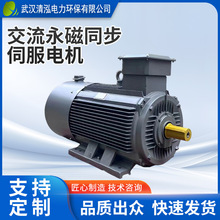 37kw交流永磁同步电动机2025压铸注塑橡胶鞋机节能批发高效节能