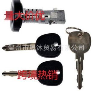 924-796 Factory Direct Supply Ignition Lock Cylinder with On-Board Program