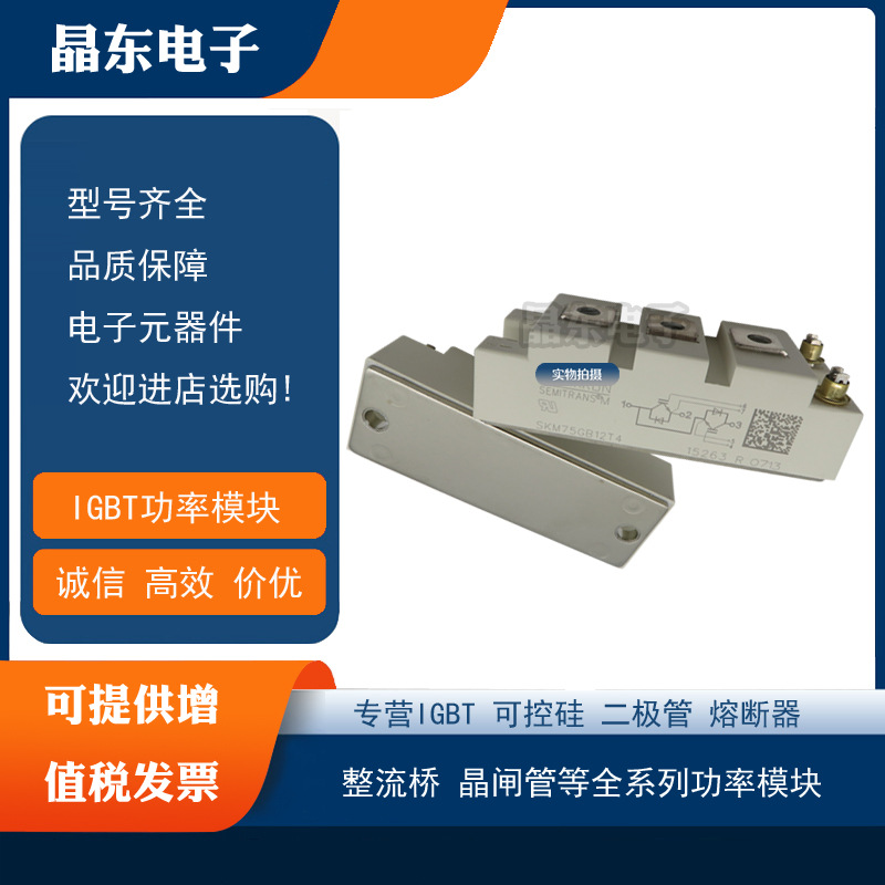 SKM75GB12T4 SKM75GB123D SKM75GB124D SKM75GB128D SKM75GB12V