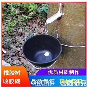 ������z�������z�zˮ�ո�����z�䵶����z�����z���뱱��