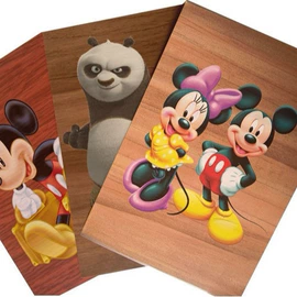 其他材料印刷;塑料印刷;其他球类用品