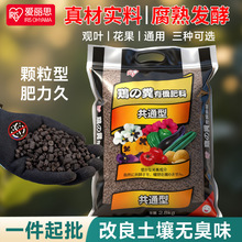 ����˼�l���u�S��S�B���N���w�����| �˷� �����z�@ˇ�����l