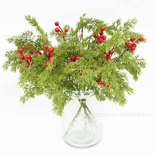 ����12�^�}�Q�ɰ���ᘰ�������t�{��������}�Q��֦�b��}�Q�Gֲ