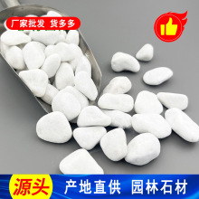 ��ɫ�Z��ʯ������� �麣�|���҃�չ̨��ʯ �@���·�c�Y�C�ư�ʯ