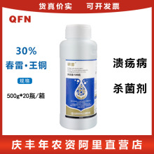 众和 铜雷 30%春雷·王铜 春雷霉素柑橘树溃养病水果农药杀菌剂