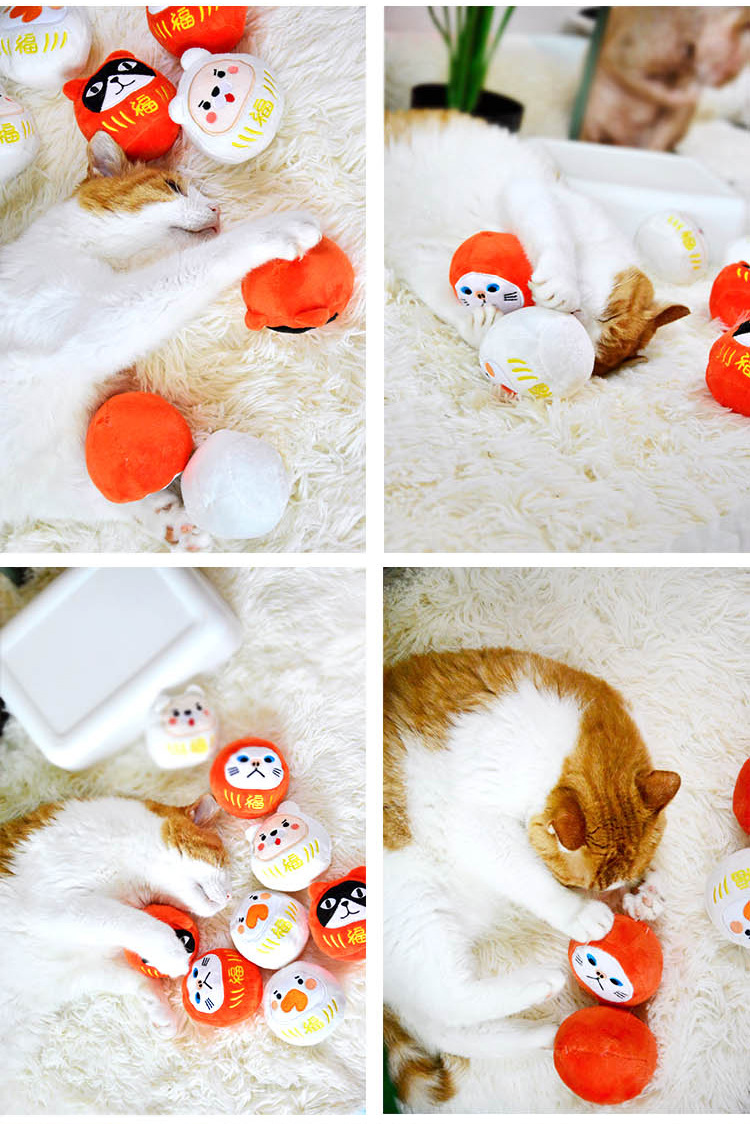 T062-MISSPET-猫咪玩具-达摩大福_16.jpg