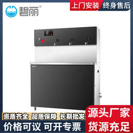 广东碧丽饮水机滤芯新品不锈钢商用饮水设备JO-4Q5B-N原厂包装