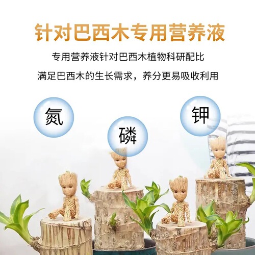 Brazilian Palm Special Nutrient Solution Plant Home Gardening Fertilizer Pot Cultivation Lucky Wood Promotes Sprouting and Root Growth Water Culture Aquaculture