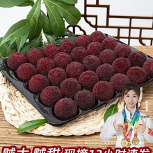 [�ؼ�]��÷���r�ɾӗ�÷�����㽭��|����÷�w���bˮ���Fժ�F�l