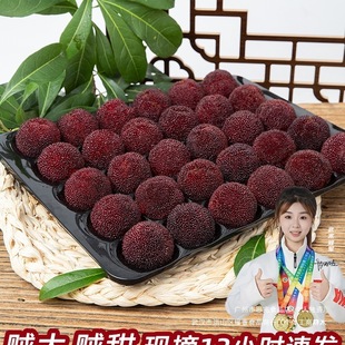 [�ؼ�]��÷���r�ɾӗ�÷�����㽭��|����÷�w���bˮ���Fժ�F�l