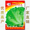 Vegetable Seed Company Four Seasons Easy-to-plant Flower Flower Flower Flower Seeds wholesale-308 glass lettuce seeds