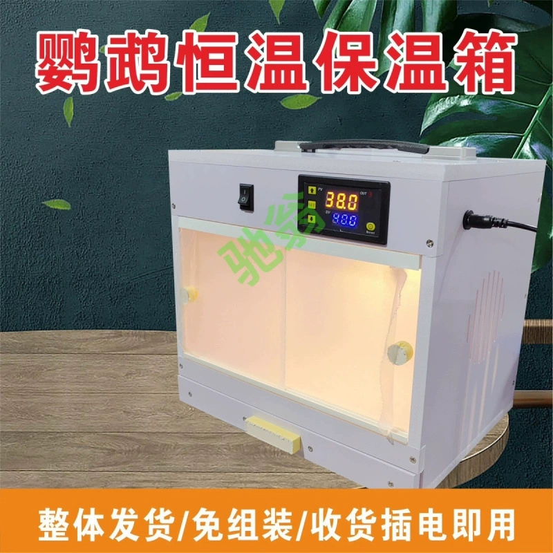 Yut попугай домашнее животное инкубатор день выводка