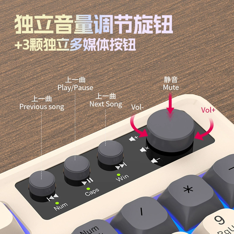 Raiku Lei Kui K98/T98 定制游戏键盘鼠标套装 三品颜色有线洗练键盘