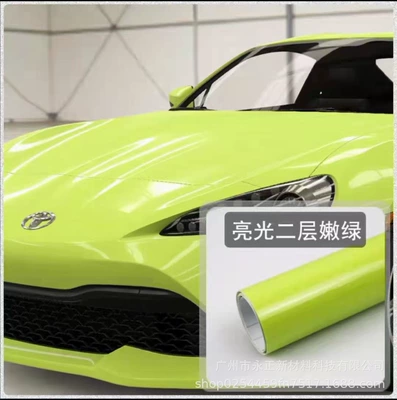 Automotive Film – hand training film - sky-blue-green-buds
