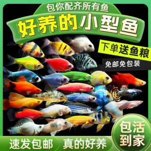 �^�p�~�Ꭷ�~С���~��ȸ�~��ʹ�~���R�~���~�����~�����W�^��Ƥ�~