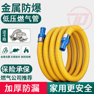 Household Gas Hose Gas Pipe Stove Connection Pipe Explosion-Proof Metal Armored Hose Natural Gas Pipe Liquefied Gas Pipe
