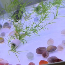 �݈��F؛�񹝲�ˮ��ˮ�������ֺ��B�ͻ�������ˮ���~���b��쾰