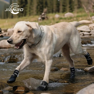 Jianbo Yipetong Pod River Tracing Shoes Dog Shoes Reflective Edge Anti-Slip Diving Cloth Stain-Resistant Rain Boots All-Season Shoes