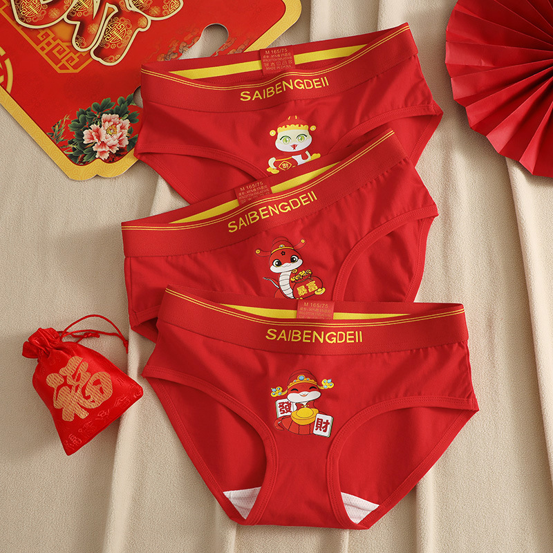 Briefs