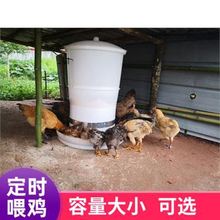 鸡鸭鹅定时喂鸡投料机鸽子养鸡自动喂食器鸡料桶鸡食槽饲料投放器