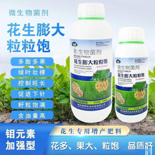 花生膨大粒粒饱满专用叶面肥产量提高颗粒大控旺徒长壮棵分叉下针