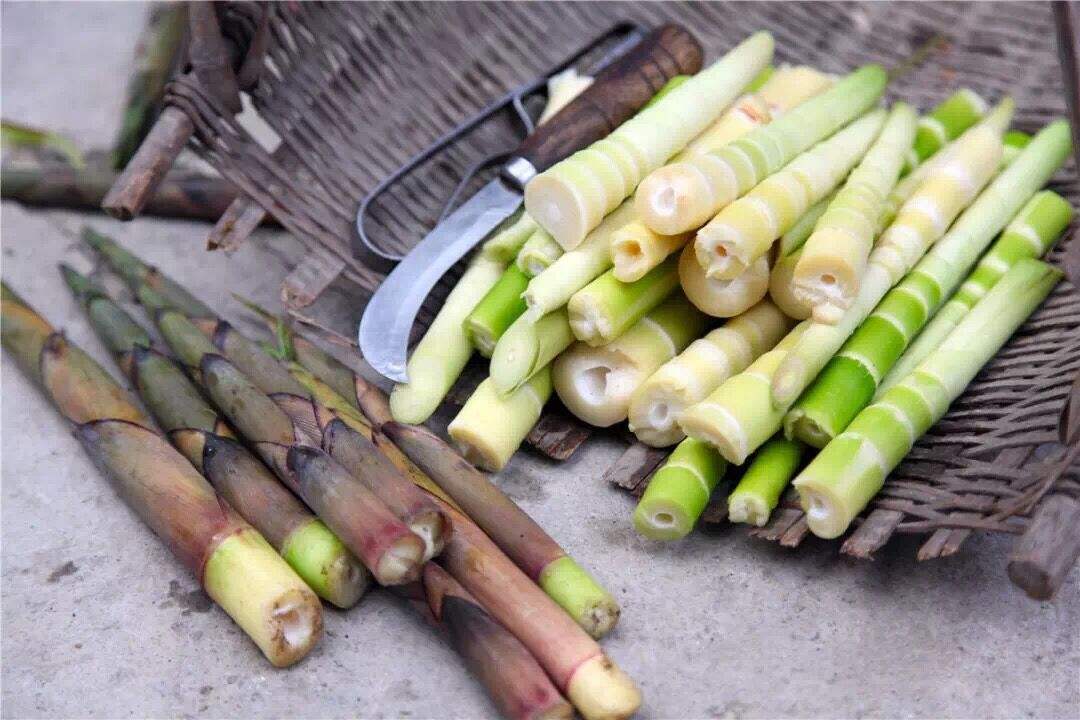 【现货速发】江西清水小竹笋尖新鲜水煮小笋春笋整根袋装餐饮炒菜-阿里巴巴