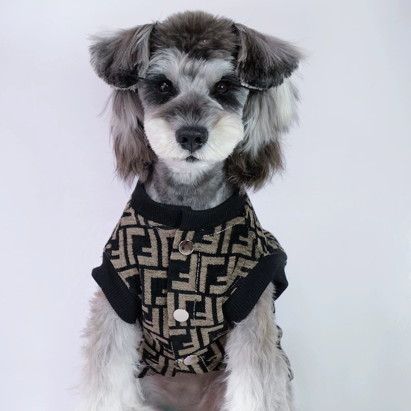 Ropa de mascotas chaleco de perro caliente moda nuevos productos deportivos ocio versátil tendencia Teddy Bear Malzies