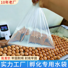 孵化专用水袋加厚双封小鸡鹦鹉芦丁鸡水床孵化器孵化机箱家用配件