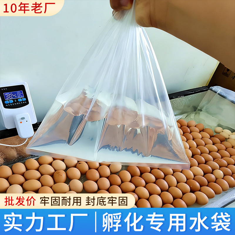 孵化专用水袋加厚双封小鸡鹦鹉芦丁鸡水床孵化器孵化机箱家用配件