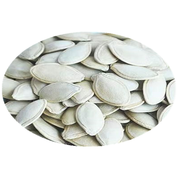 微信图片_20220419155957_副本