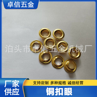 �������~�����u�ۿ���Ȧ���������������~���ێ�צ����