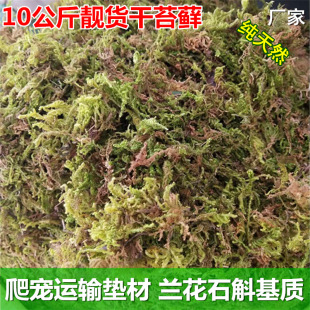 10kg dry water Moss dry water plants orchid Dendrobium tiger skin grafting turtle packaging transport winter sleeping mat dry moss