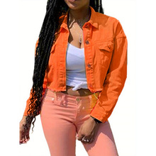 2026�羳�¿�W��Ůʿ�Gɫţ�ЊA�����e�L���Bñ����