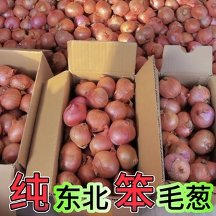 �|���خaë�[�ԷN���ڱ�ë�[Сë�[պ�uë�[��ë�[�^���r���[���]