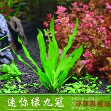 ����С�Ź���ˮ��ˮ�����~���쾰ˮ���~�S�ں��B�к󾰲��I����һ