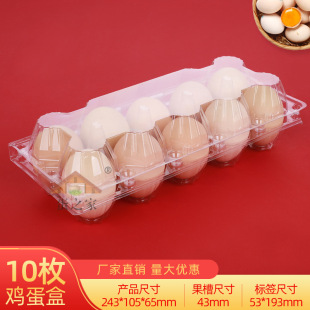 һ���������u����10ö��̖͸�������u�����b�Y�ЏS��ֱ�N���а��]