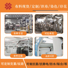 布料印花染色定型上助剂加工定制花纹网孔颜色图案克重幅宽复合片