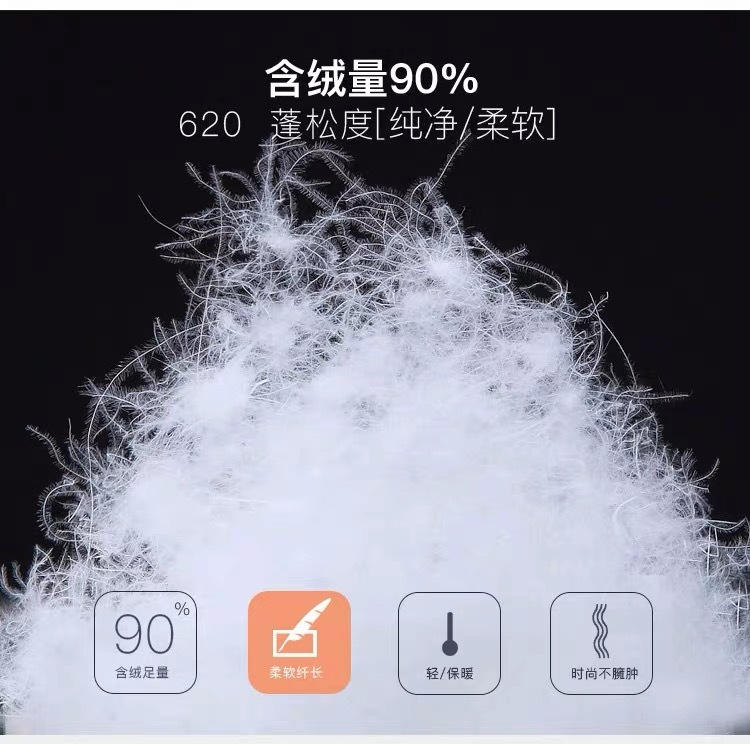 IMG_0700(20241009-132820)