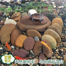 �SϞʯ�Z��ʯ������ʯԭ���̨��̨�~���^���쾰�L�����l���l