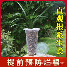 ��լ����@ˇ��Ӹ߰�ɫ���ϴ�̖�����������l�ش�ȿ�͸���m����