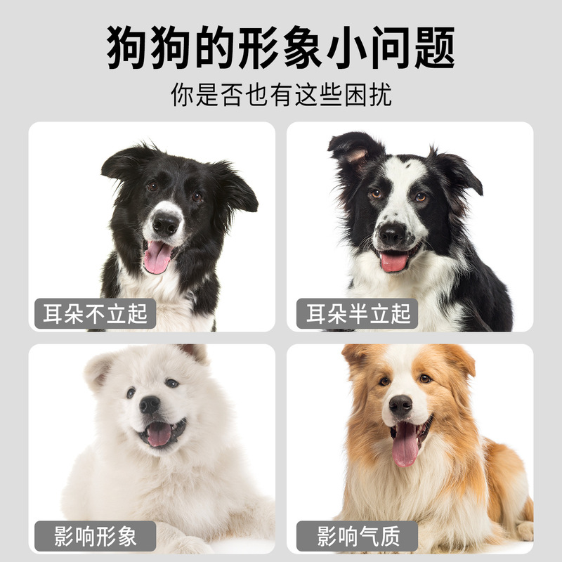 犬耳立てパッチ、子犬耳ケア補助矯正パッチ、ドーベルマンジャーマンシェパード中大型犬耳立てアーティファクト|undefined