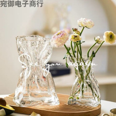高级感シンプルクリエイティブ不规则花瓶透明ガラスリビングテーブル生け花水养ins装饰置物