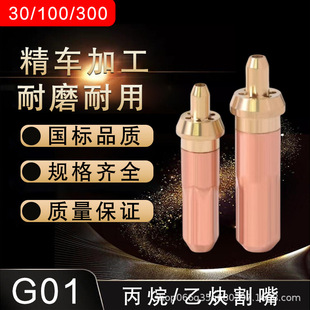 National Standard Cutting Nozzle G01-30-100-300 Cutting Gun Oxygen Acetylene Propane Liquefied Gas Ring Plum Blossom Cutting Nozzle Accessories